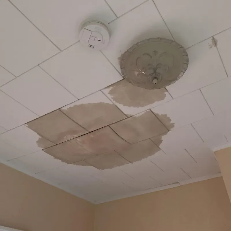 Ceiling Water Damage Repair in Kearny County, KS