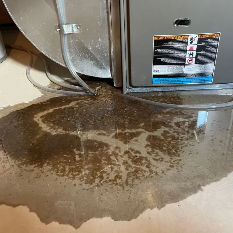Pipe Burst and Leak Restoration in Kearny County, KS